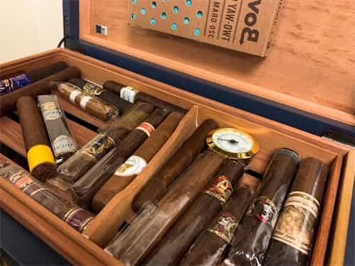 Wie lange können Zigarren ohne Humidor überleben?