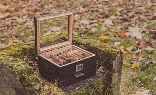 Axinite A5045 Woodronic Humidor