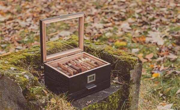 Case Elegance Renzo Humidor: 2024 Review-4 Case Elegance Renzo Humidor: 2024 Review-4