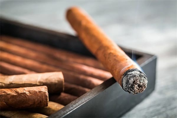 Factors Affecting Cigar Longevity
