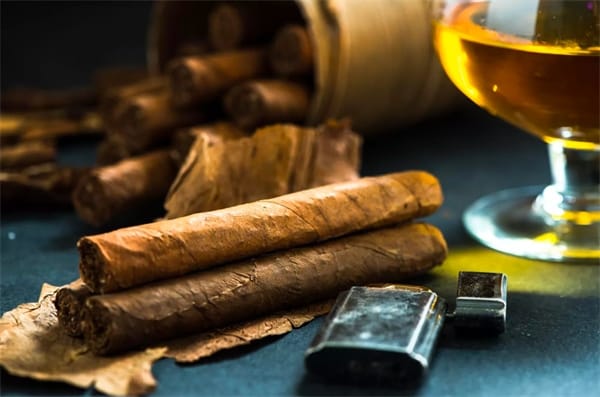 Factors Affecting Cigar Longevity1