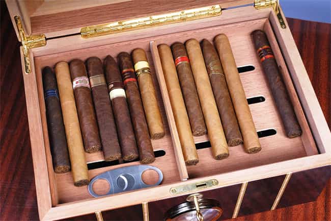 how to set up a humidor4